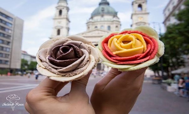 Roses, Hungary