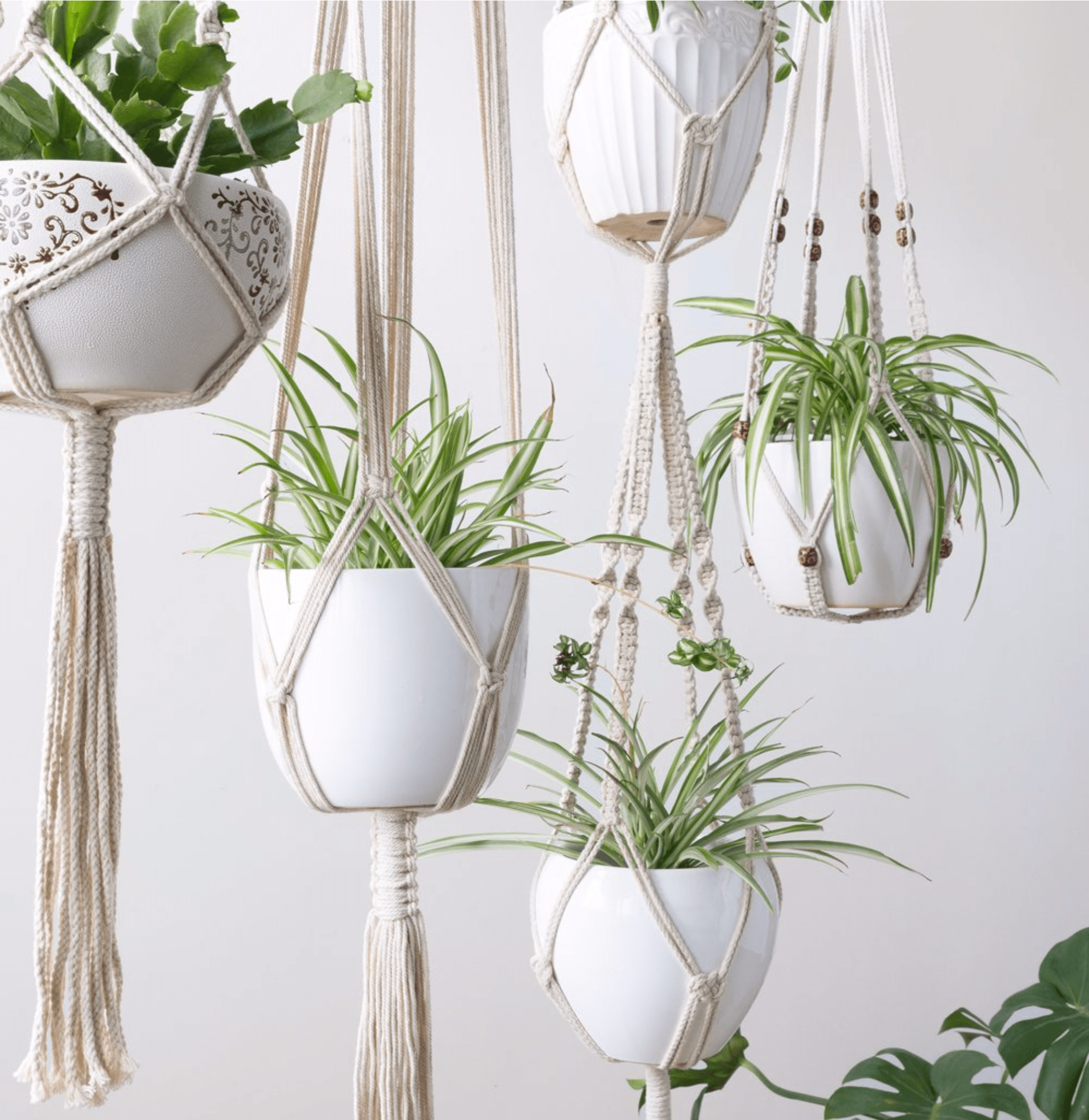 Vase Hanger with Plants