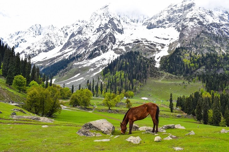 Kashmir Valley, India
